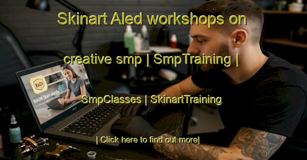 Skinart Aled workshops on creative smp | SmpTraining | SmpClasses | SkinartTraining-Sweden